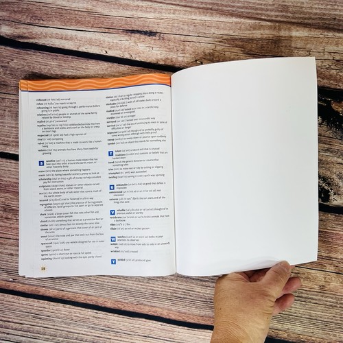 Comprehension Plus - Teacher's Guide- Level D. Soft Cover Book - Picture 19 of 20