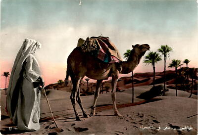 Tripoli, desert, AULA Tripoli, Vera Fotografia, Orientation postcard Postcard