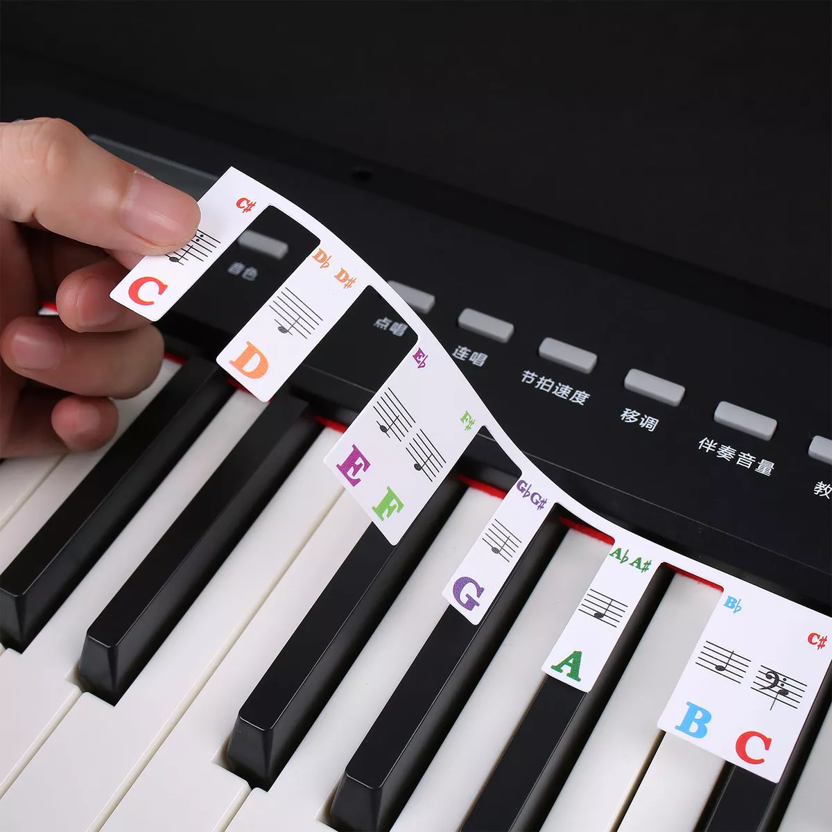 Autocollants clavier piano 61 touches carte note piano papier sans pâte  requise