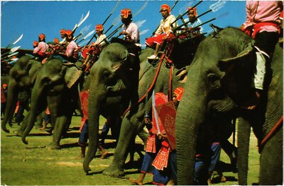 CPM Elefant Roundup at Surin THAILAND (1441858)