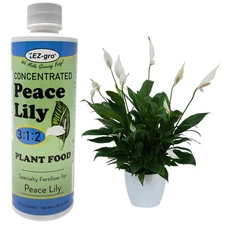 EZ-GRO Peace Lily Fertilizer for Indoor Plants - Concentrated Liquid Plant Fo...