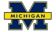 University of Michigan Wolverines sticker logo NCAA weatherproof bumper vinyl