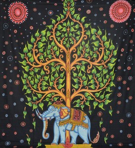 Elefantenbaum Kaufen