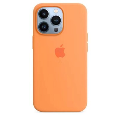 Silikonhülle mit MagSafe für Apple iPhone 13Pro, Soft-Touch-Oberfläche, golden