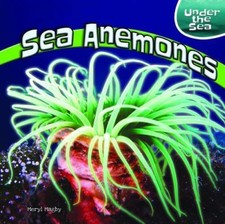 Sea Anemones by Magby, Meryl