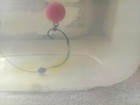 Picture 4 of 7