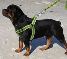 Reflective Dog Harness  Leash Set, Comfortable and Safe for Walking or Training