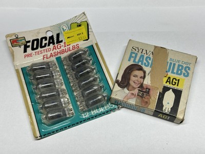 Ampoules miniatures Sylvania longue durée 7225, paq. 2 | Canadian Tire