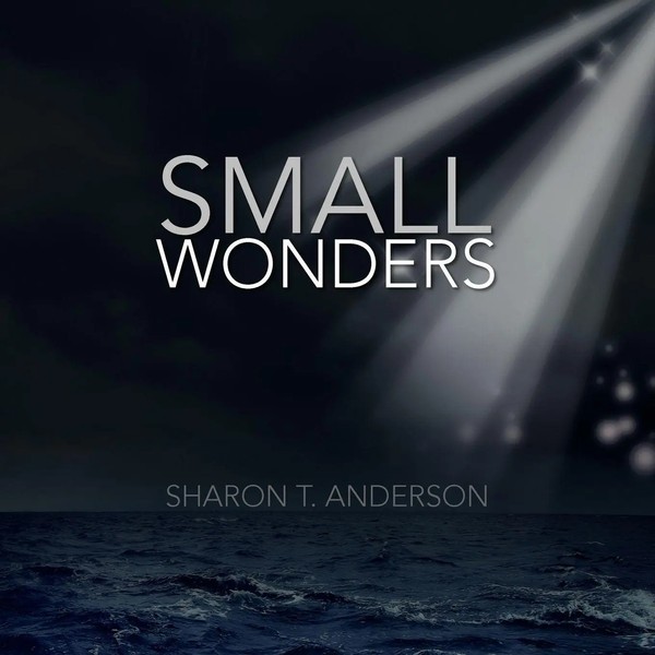 Sharon T. Anderson | Small Wonders | Taschenbuch | Englisch (2010) | Xlibris-image