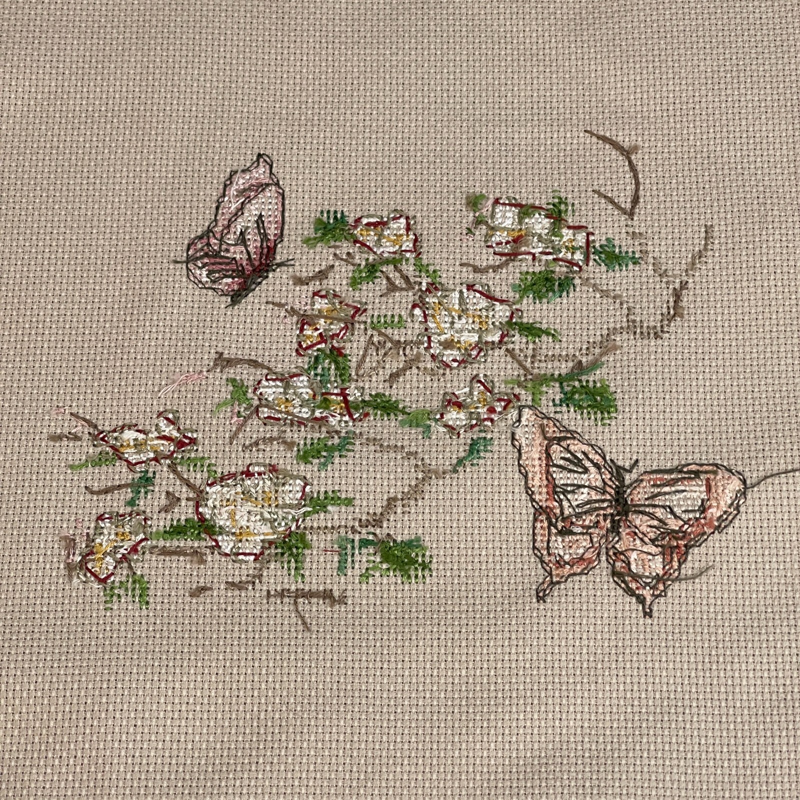 Picture 6 of 6