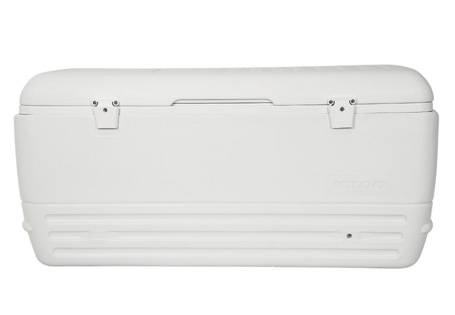 igloo ice chest 150 qt