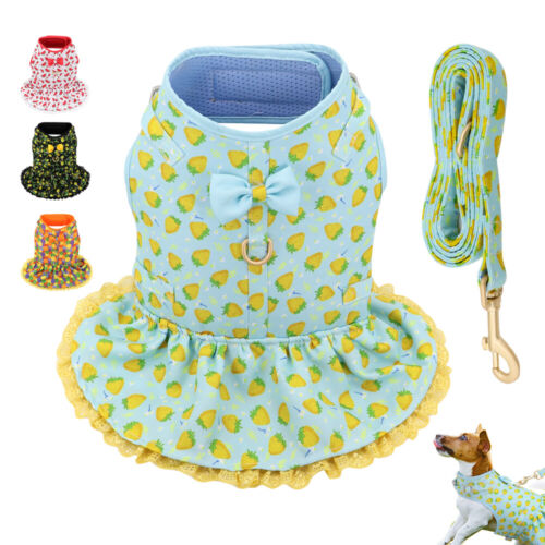 Cute Floral Summer Dresses for Small Girl Dogs Includes Matching Harness & Leash - Picture 1 of 20