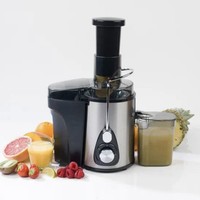 Salter EK3454 600W Power Juicer - Silver/Black