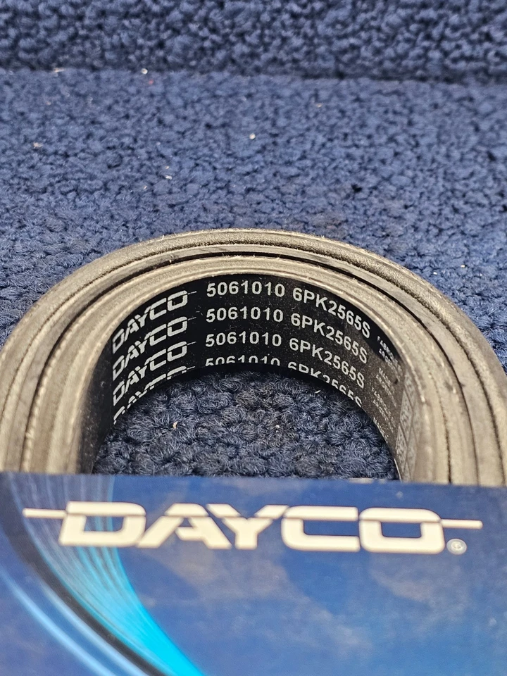 Dayco 5061010: Serpentine Poly-V Belt For CHEVROLET W3500 TILTMASTER 1996-2003 - Image 4 of 4
