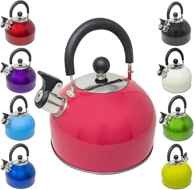 2.5L Stainless Steel Whistling Kettle – Perfect for Outdoor Adventures