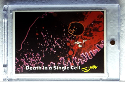 1976 Topps Star Trek Card 80 DEATH IN A SINGLE CELL. GRATIS ONE-TOUCH-HALTER