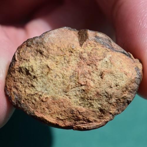 Trilobit mit großer Versteinerung Bolivien Devon Dipleura dekayi boliviensis - Bild 11 von 12