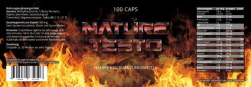 Nature Testo Booster musculación extremadamente anabólica testosterona 100 cápsulas Pump - Imagen 2 de 12