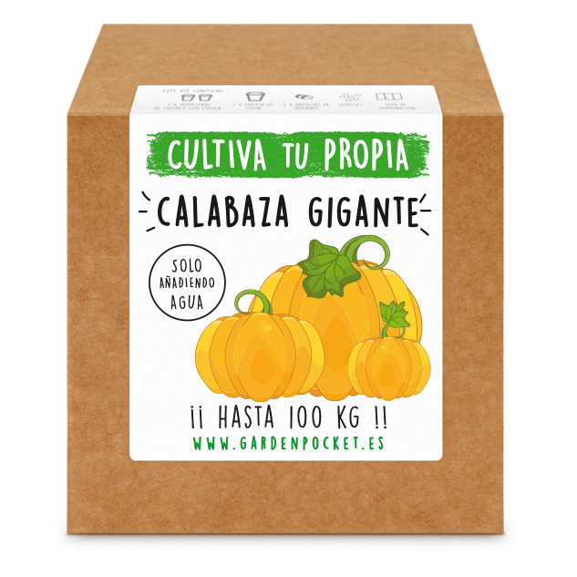 Kit Cultivo Calabaza Gigante - Garden Pocket