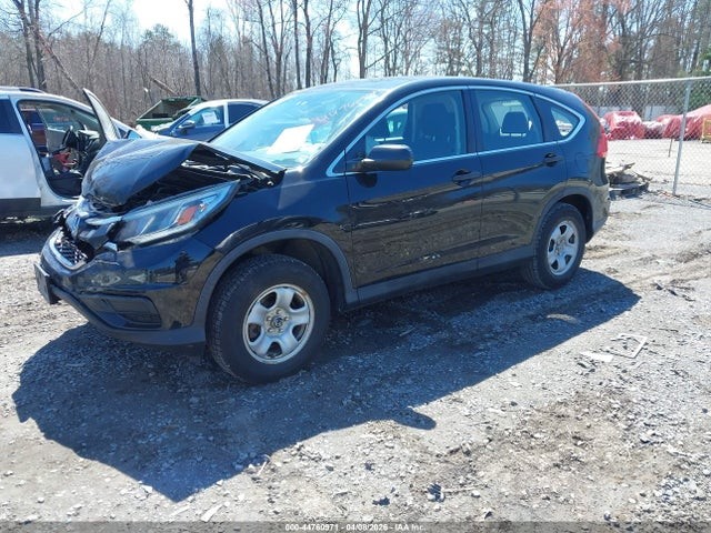 Picture 2