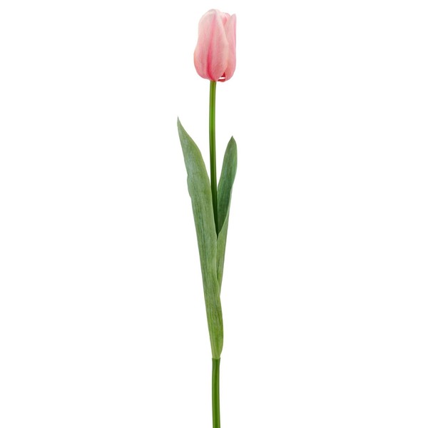 Kunstblume Tulpe, 8Er Set, Farbe Rosa, HöHe Ca. 50 Cm-image