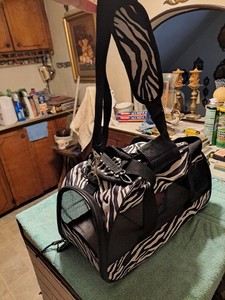 Animal Transport Carrier (Used 1 Time)