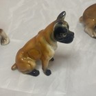 Picture 10 of 24