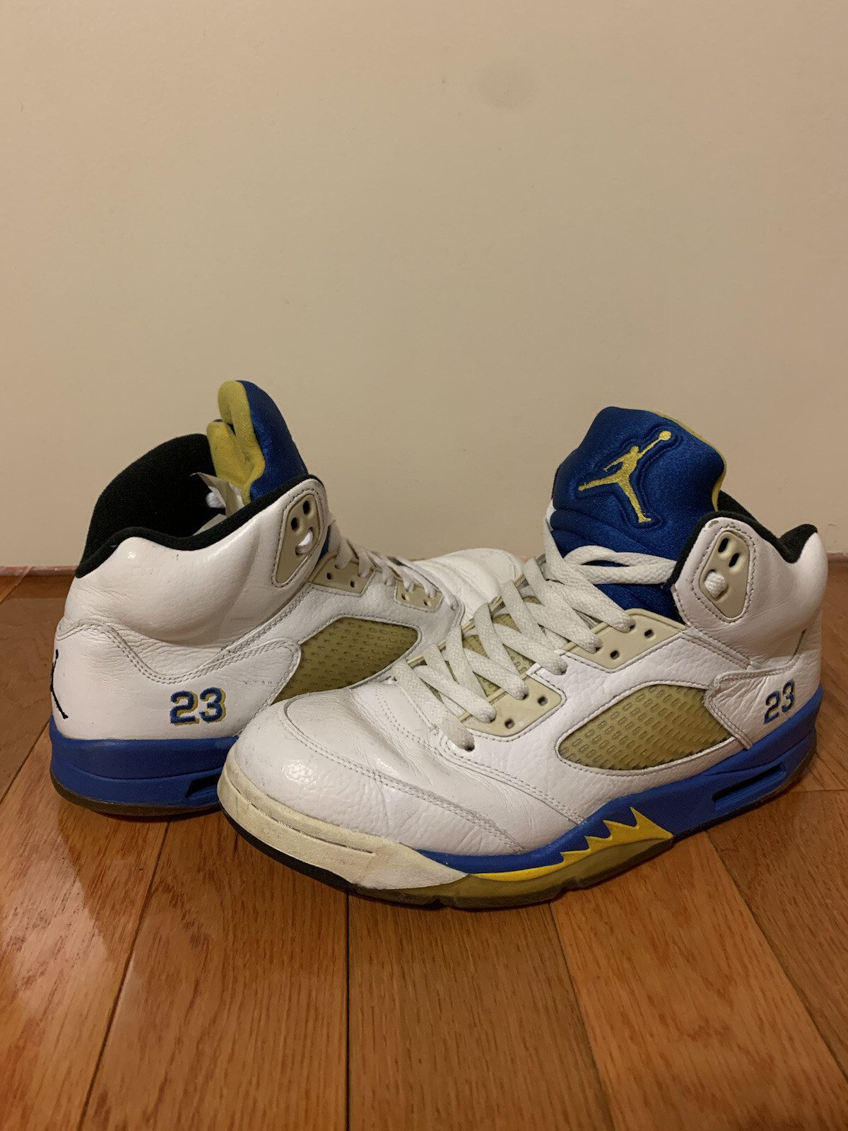 laney 5s 2013