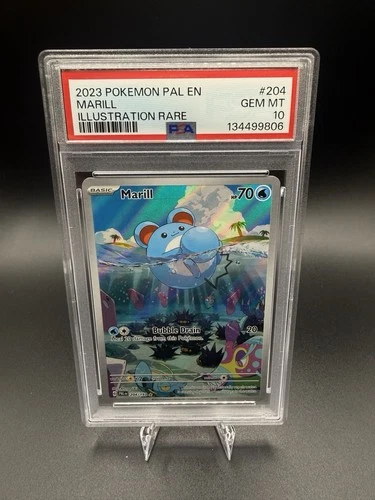 Marill Paldea Evolved 204/193 Illustration Rare 2023 PSA 10