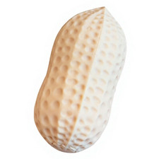 Realistic Peanut-Shaped Rubber Stress-Relief Squeeze Toy for Children Adult