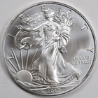 2013 American Silver Eagle (BU) in a Capsule - PRISTINE & AUTHENTIC!