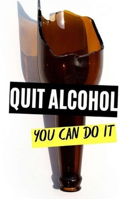 Quit Alcohol: You Can Do It by VC Brothers Paperback Book