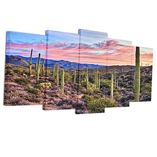 5 Pieces Wall Art Decoration Pictures of Cactus Sunrise in Sonoran Desert,