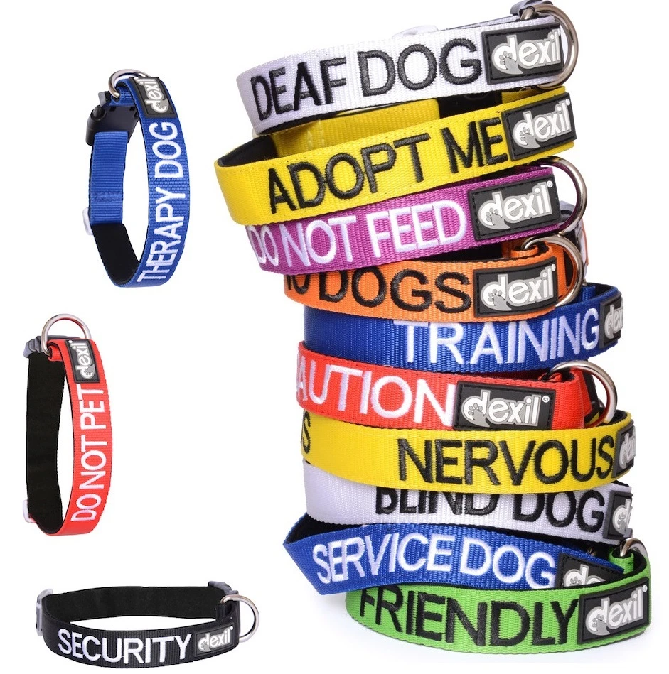 Dog collars and leads top