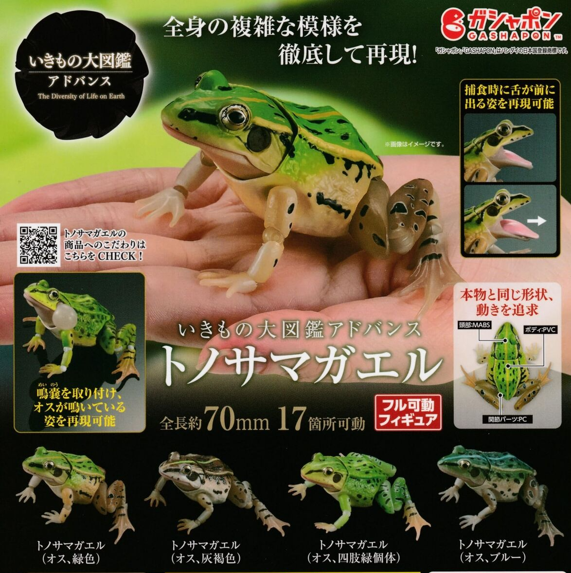 BANDAI Ikimono Daizukan Advanced Black-spotted pond frog Figure 4