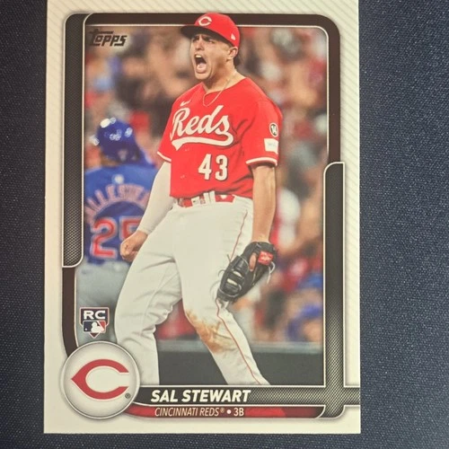 Sal Stewart
