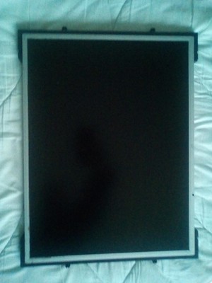 Display LG PHILIPS LC201V02-SDB1 20LS1R-GZ LCD TFT 3110T-0142A Flachbildschirm