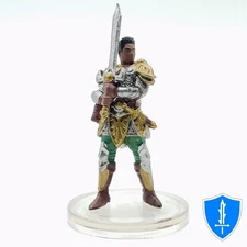 Sundar the Bold - Stranger Things #4 Heroes of Hellfire D&D Knight Miniature