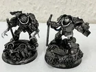 WARHAMMER 40K SPACE MARINE HERO TERMINATORS x 2 VERY WELL PAINTED FIGURES