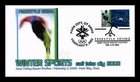 US COVER WINTER SPORTS ICE HOCKEY FIRST DAY ISSUE FREESTYLE SKIING