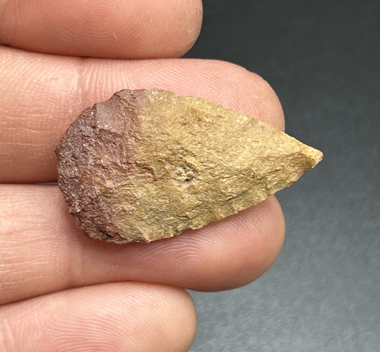 AMAZING HEAT TREATED JASPER OVATEPA Indian ArtifactNY Arrowhead