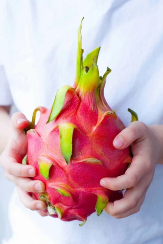 DRAGON FRUIT (pitahaya) Plant cuttings, plant seeds rare dragon fruit US