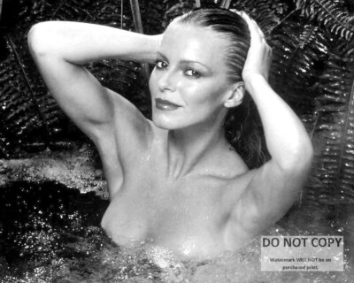 ACTRESS CHERYL LADD PIN UP - 8X10 PUBLICITY PHOTO (SP414)