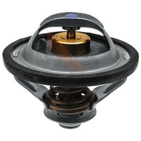 Granit Thermostat | 74717124 | Passend FüR Mccormick, Landini, Case IH