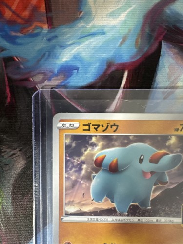 Phanpy - 115/S-P 115/S-P S-P: Sword & Shield Promos Regular (Japanese) - Picture 2 of 10