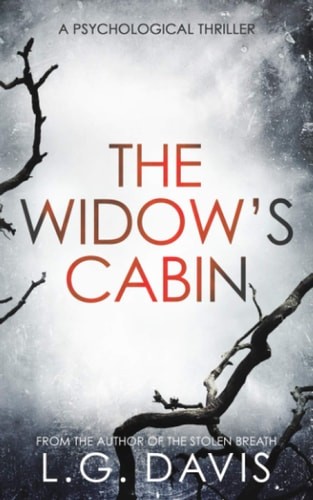 Die Witwenhütte: Ein packender Psychothriller mit einem Twist, den Sie nicht sehen werden