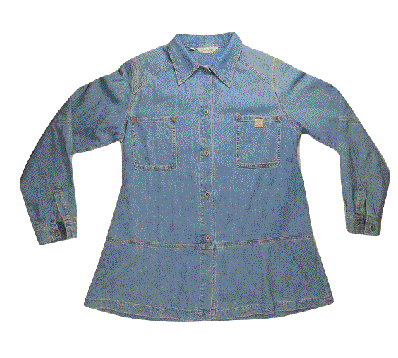 AG Adriano Goldschmied Gabi Womens Denim Shirt L Made in USA Western  Designer | eBay