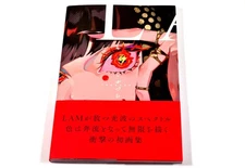 LAM 1st Art Book Ikazuchi Thunder art works Anime Illustration collection Japan