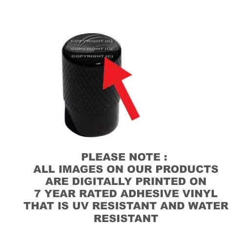 4 tapas de válvula de rueda de neumático moleteado negro Billet coche camión Hot Rod Devil Girl BK199 Foto 2 de 3