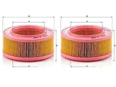 2 x Filtroo aria MANN-FILTER per LAND ROVER, MORGAN, ROVER, TALBOT
